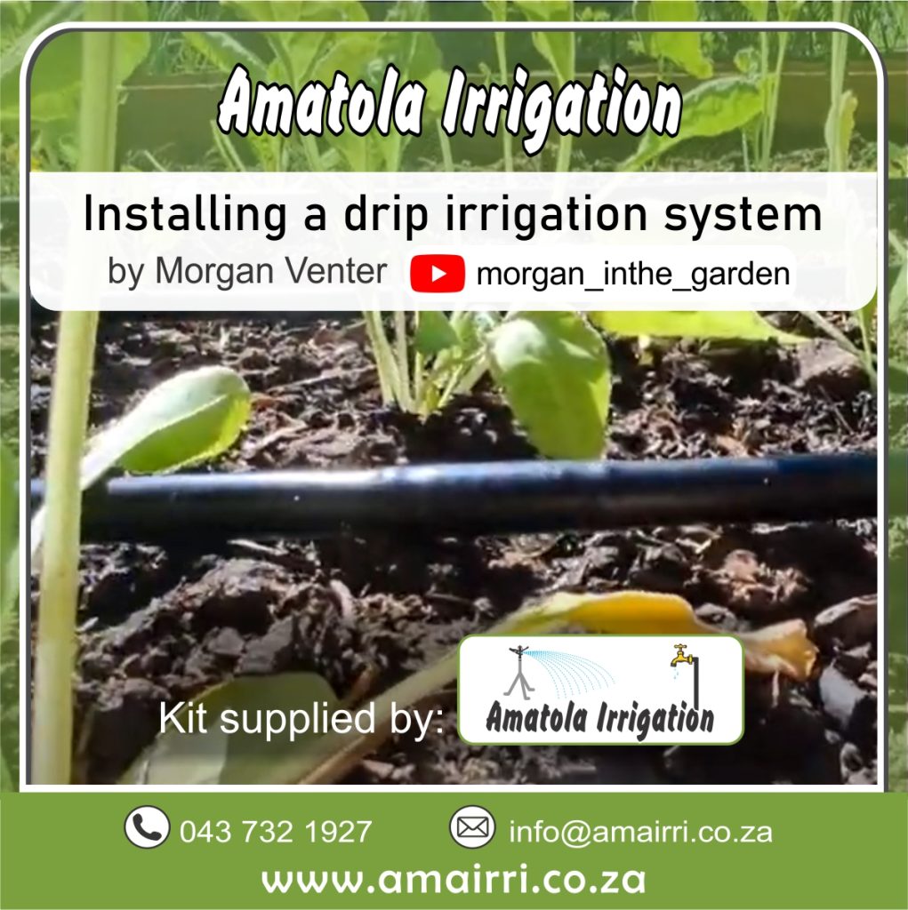 Amatola irrigation customer demonstrates how to install drip irrigation system