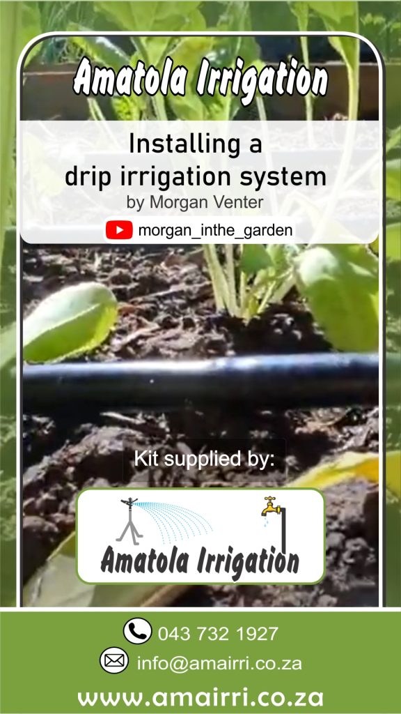 Amatola irrigation customer, Morgan Venter, demonstrates how to install drip irrigation system